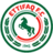 AL Ettifaq FC