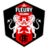 FC Fleury 91
