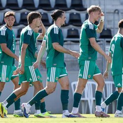 Grit and Youth: Ten-Man Northern Ireland Secure Hard-Fought Guinea Win