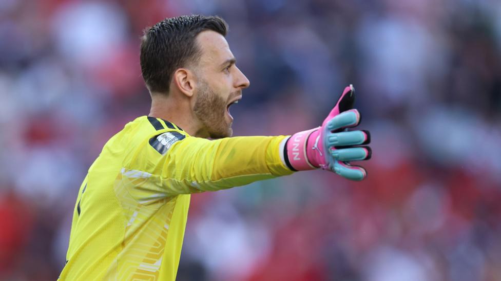 Boston Blues and Miami Dreams: Assessing Scotland's Survival Hopes