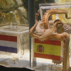 Blast from the Past: Memories of the 2010 World Cup Summer